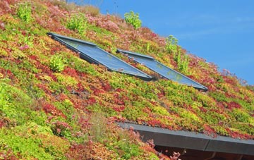 Lissington living roof systems